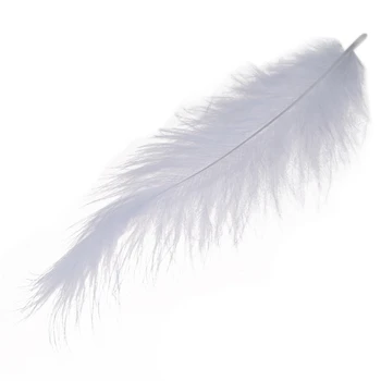 1000 x Огненное куриное перо Заостренный хвост Бархатные перья 10-15 см Белый